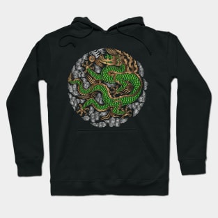 bronze dragon Hoodie